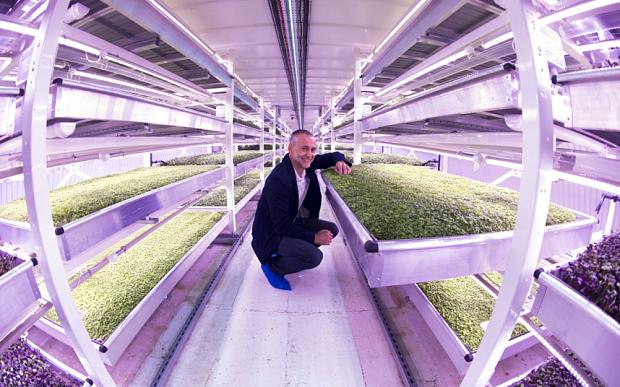 AgFunder's tweet image. London's first underground farm opens in WW2 air raid shelter bit.ly/1g2MPKX by @sarahknapton w/ @GrownUnder