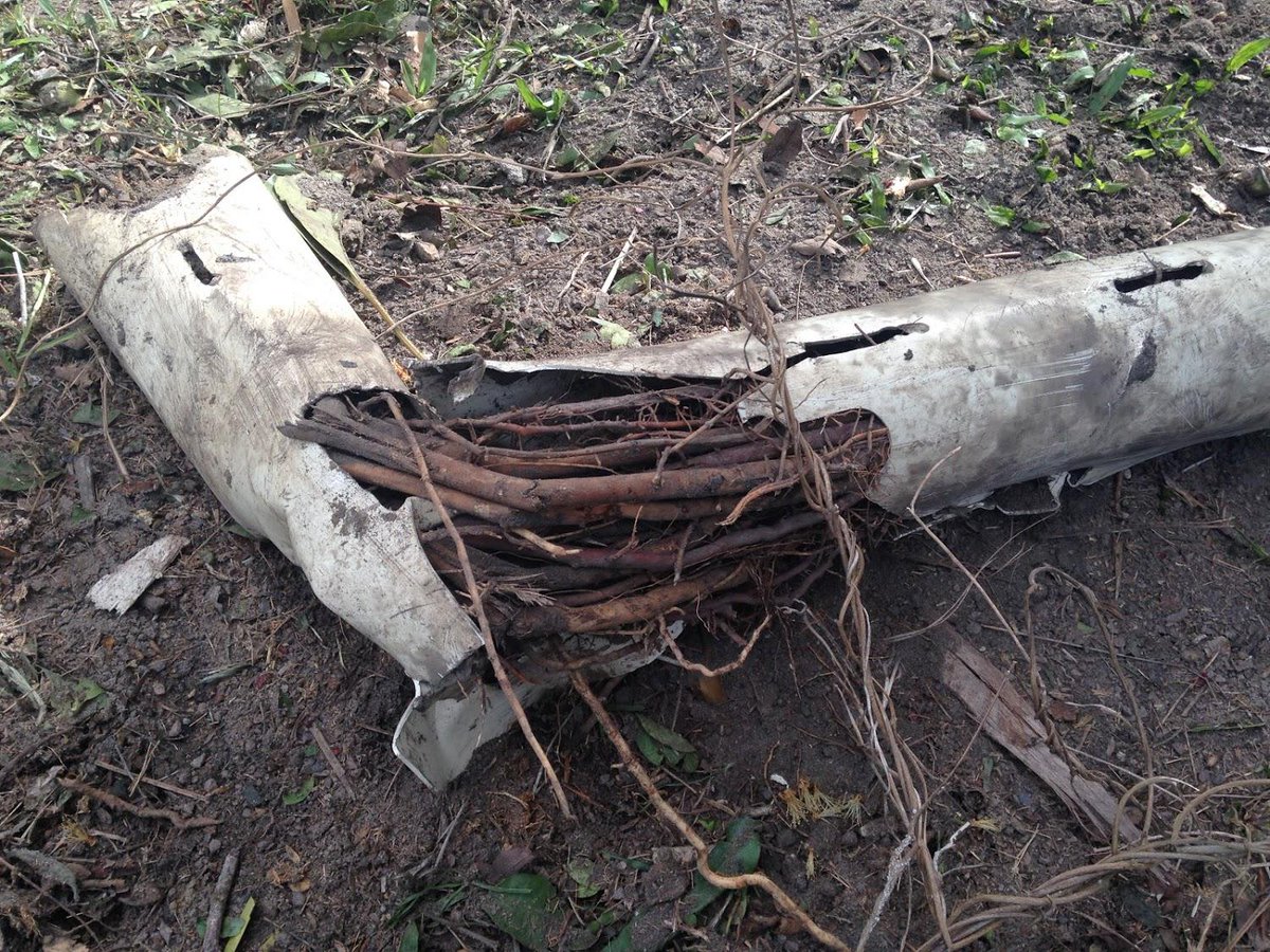 DialOneRichies's tweet image. Got Roots? #SewerProblems #BlockedDrains