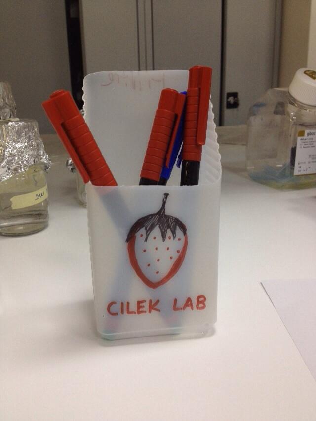 <a href="/hayynur/">NurHayy</a>'dan Cilek Lab'a geri dönüşüm hediyesi. Tesekkurler