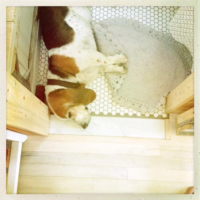 ourfirsttiny's tweet image. Not many #tinyhouses have tile. It's great for 100 degree weather! Check out ours for sale @ ourtinyhome.us.