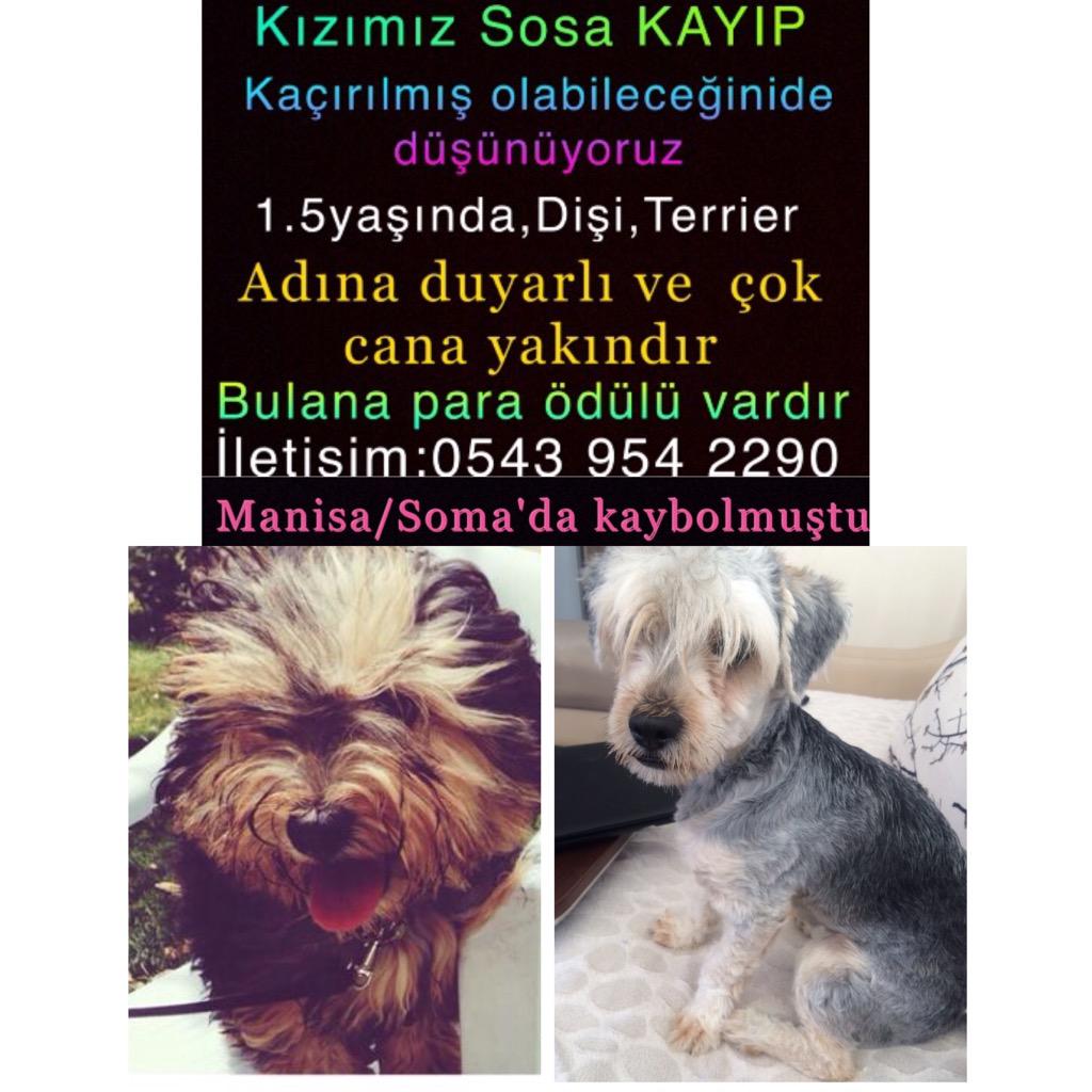 Lütfen paylaşalım