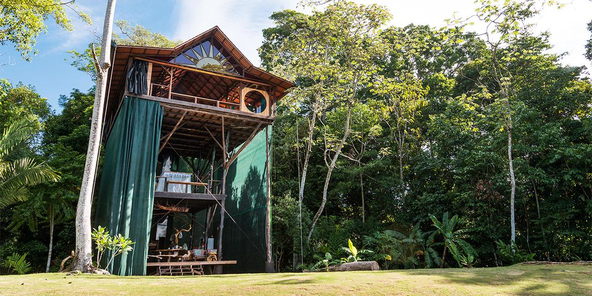 Airbnb's tweet photo. Osa Peninsula's home to half of Costa Rica's species. See them up close: http://t.co/mYIsYxXkBq #TreehouseTuesday http://t.co/vtwmJgKGoM