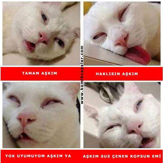 idemYksel13's tweet photo. #GeceOluncaBen http://t.co/JjXB3uzAmx