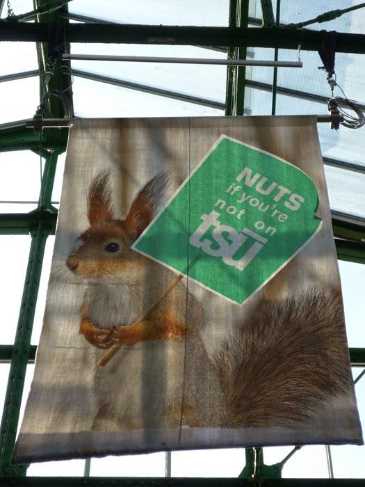 Need some extra cash? Make money posting, commenting and sharing on a social network goo.gl/1up4vC