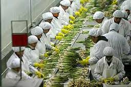 Controldocu's tweet image. La agroindustria es intensiva en la contratacion de contratistas. Aqui la solucion.
linkd.in/1s5x5Il