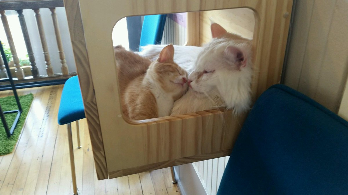 Asher snuggling with Brie