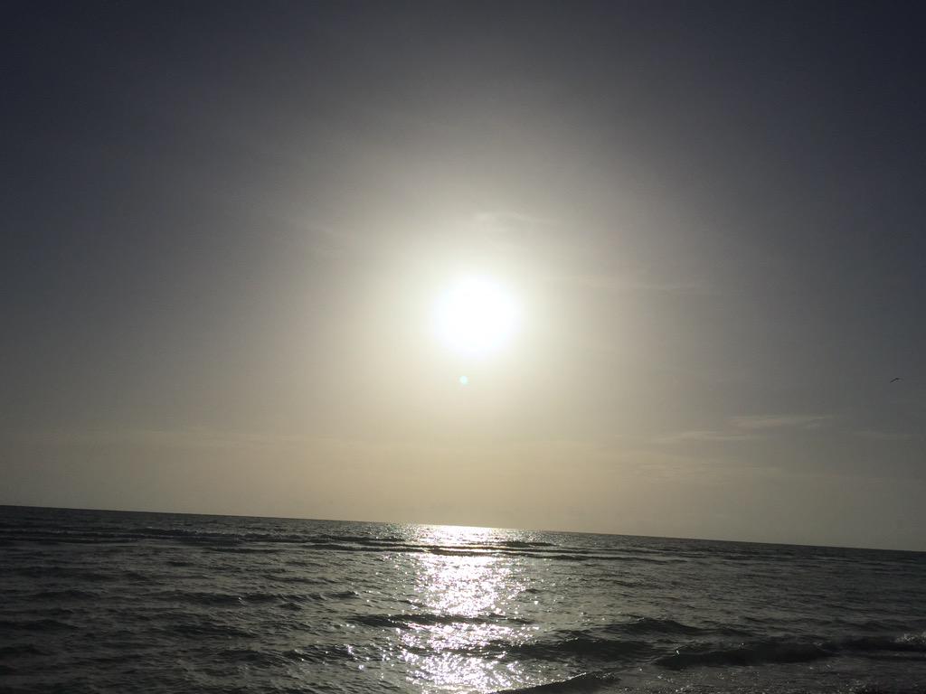 my2victoria's tweet image. Skyline #sarasotabeach