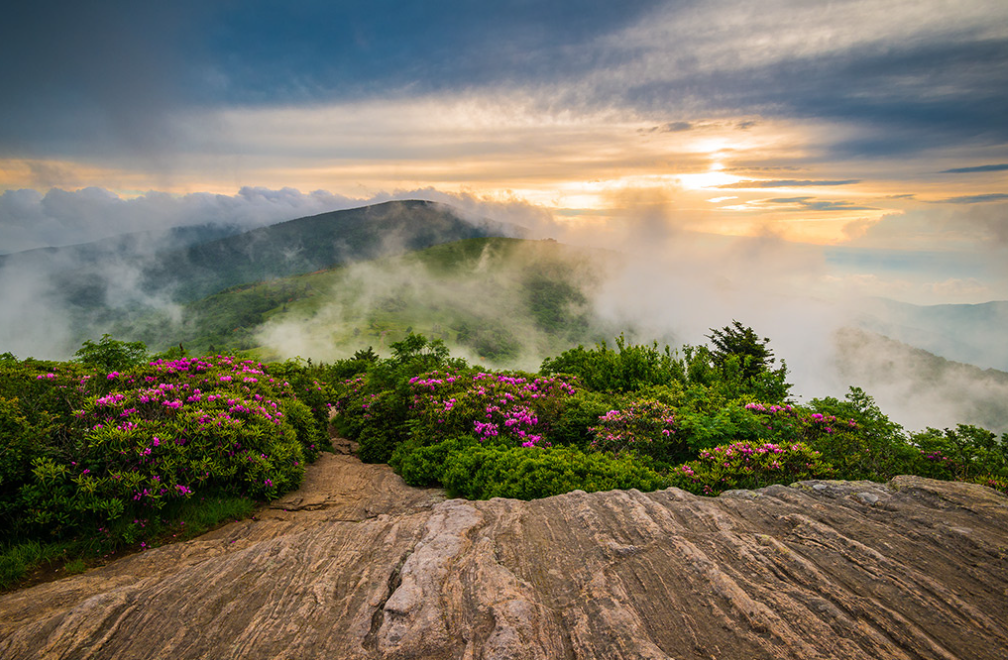 Twittblaster's tweet photo. Hope is D thing with feathers 
that perches in the soul.....
Emily Dickenson
#HopeIsForever #Soulful #Twittblaster http://t.co/lPNfqFMW0c