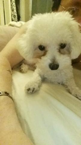 Hey @AlbertBlush  guess who is with me! The Squish hopes to see some of her cousins this week ;-) http://t<a class="tags" target="_blank" title="On Twitter" href="/?out=eyJ0eXAiOiJKV1QiLCJhbGciOiJIUzUxMiJ9.eyJpYXQiOjE3MjcyNjMyNzgsImlzcyI6InR3cG9ybnN0YXJzLmNvbSIsIm5iZiI6MTcyNzI2MzI3OCwiZXhwIjoxNzU4Nzk5Mjc4LCJyZWRpcmVjdF91cmwiOiJodHRwczovL3R3aXR0ZXIuY29tL0FsYmVydEJsdXNoIn0.CmSNay-jeqNMy8t7k1LmsO9WYs8YQ7U3RjtnWNokZThVn7kCMNXbvvTabRPVs4x7jTD-qAVViTReJibh231unQ">@AlbertBlush</a><a href="/tag/iwon"class="tags"><span>#iwon</span></a><a href="/tag/mems"class="tags"><span>#mems</span></a><a href="/tag/bigmess"class="tags"><span>#bigmess</span></a>