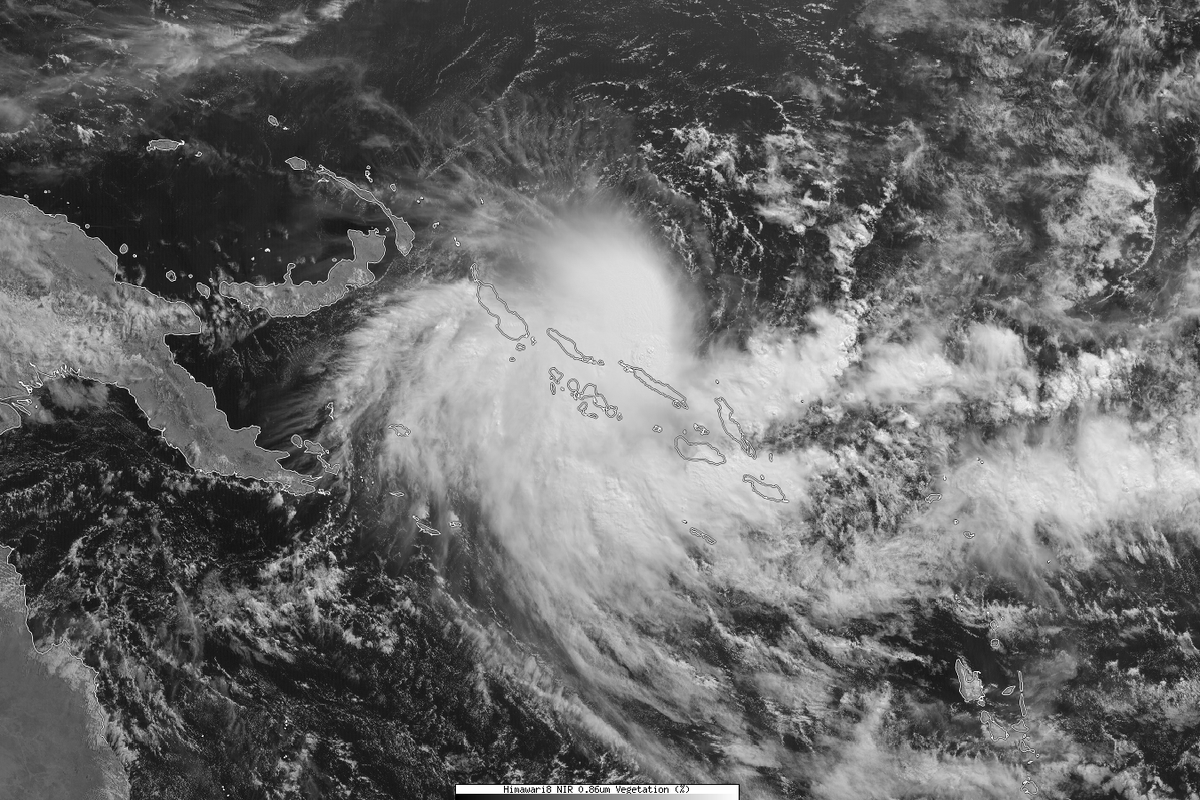 lsm.jpg4.us gallerynova