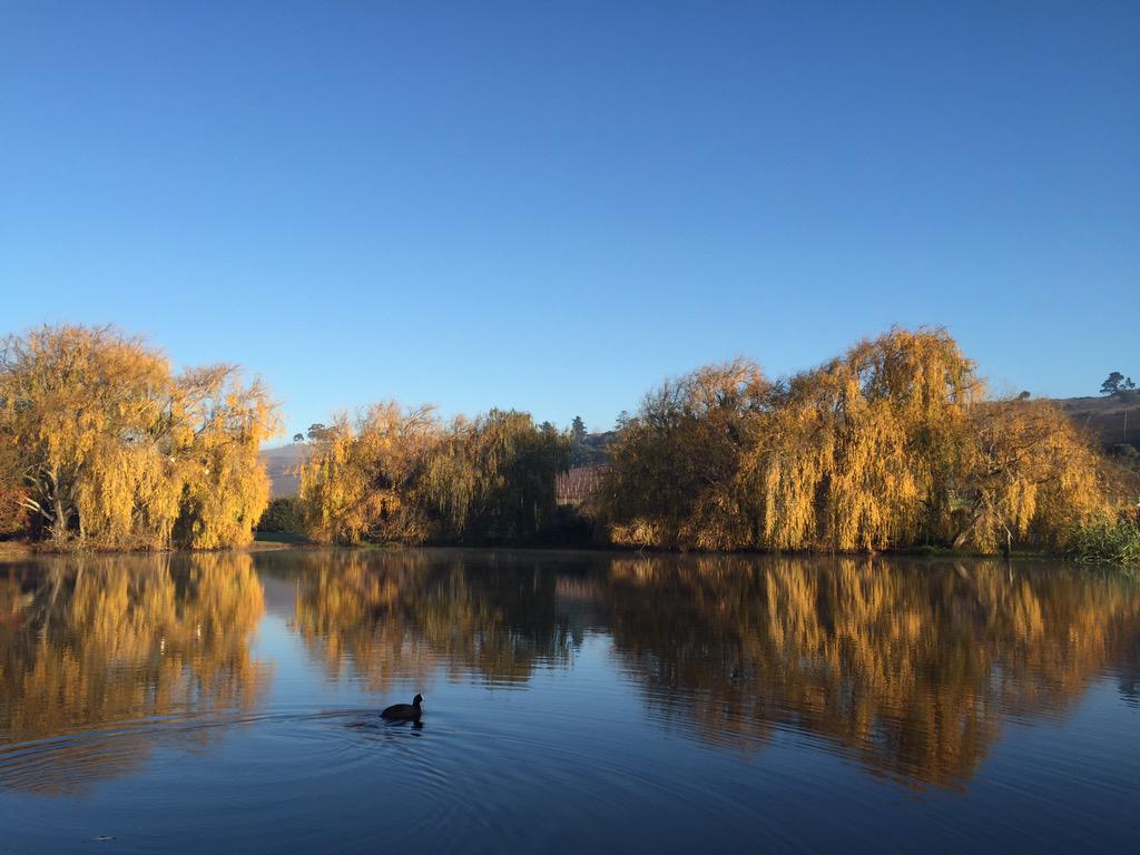 If your morning looks like this, the day can only get better! Have a good day everyone :-)