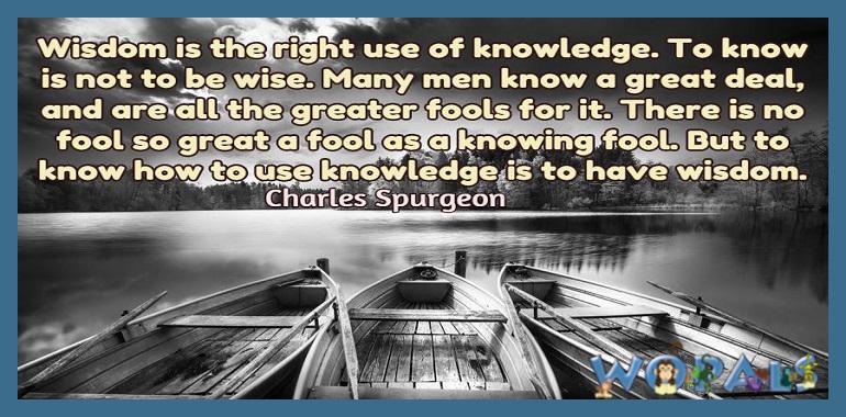 WOPALS's tweet image. #wisdom #knowledge #wise #deal #fools #quote #quotes #quoteoftheday #Charles