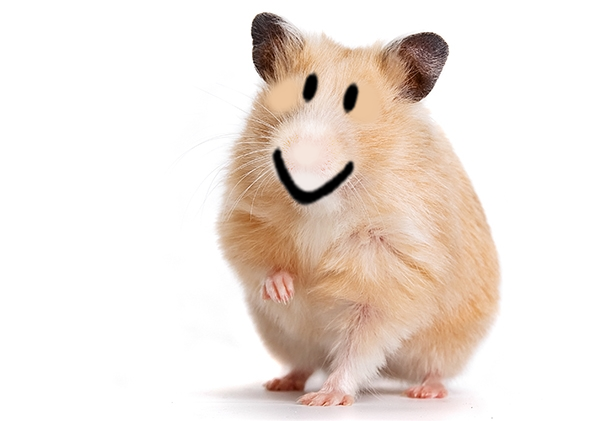 Hamster - Roblox