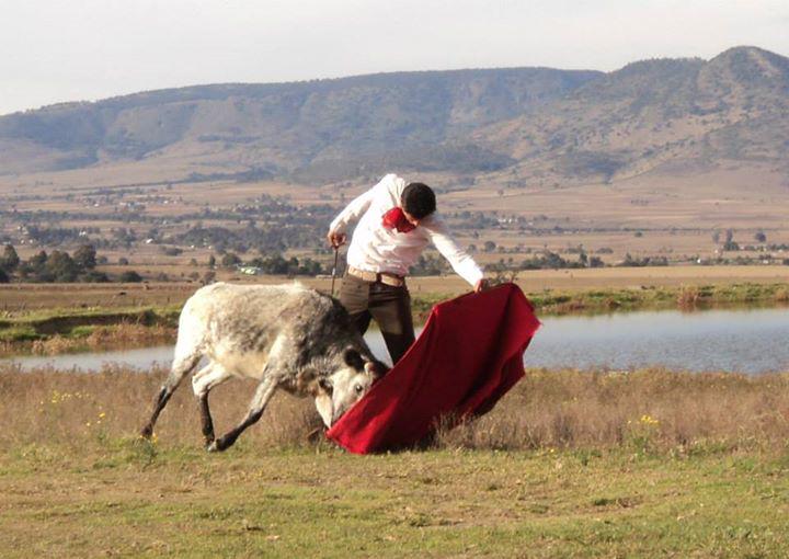 apoderado10's tweet image. Torerazo!!!