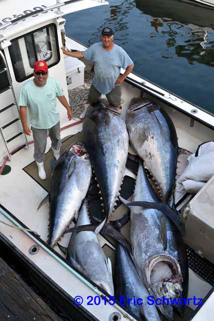 SchwEJ's tweet photo. 6/30/15 - .@CaptFVLily Jimmy &amp; .@wickedspotter congrats on weighing in 7 this evening! | #WickedTuna .@BluefinBlowout http://t.co/yu1mgLe3rH