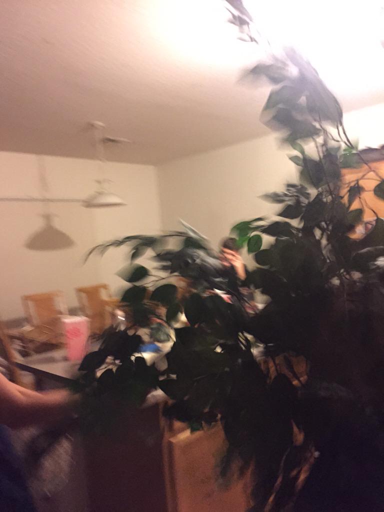 HannahCluffXOXO's tweet photo. Beating Nicole w a tree http://t.co/aUbMN68Xmm