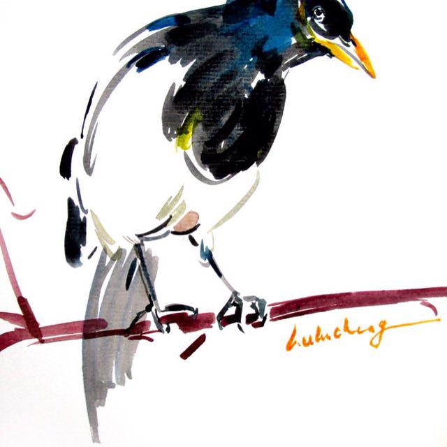 etsy.com/listing/234899…
#bird #birdart #animalslover #birdlover #watercolourbird