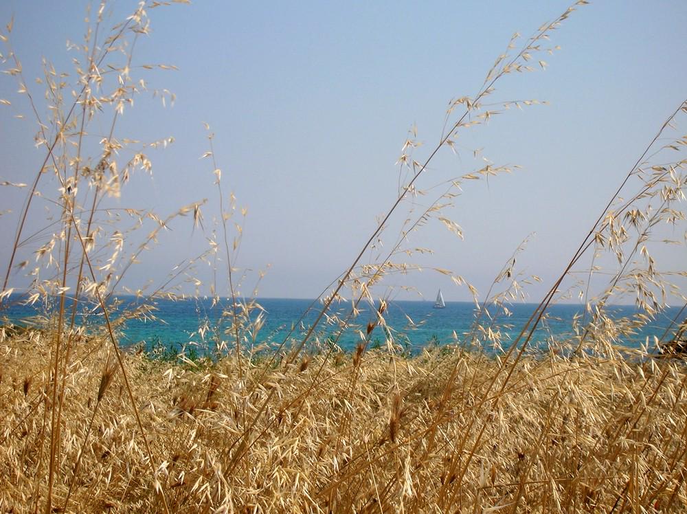 Di tenui colori profuma il mattino...mentre la lieve brezza accarezza adagio l'azzurro del mare.#ioscrivoxte