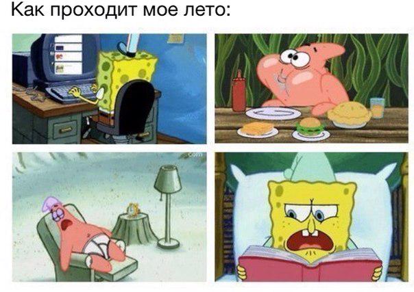 mind_long's tweet image. Как проходит мое лето: