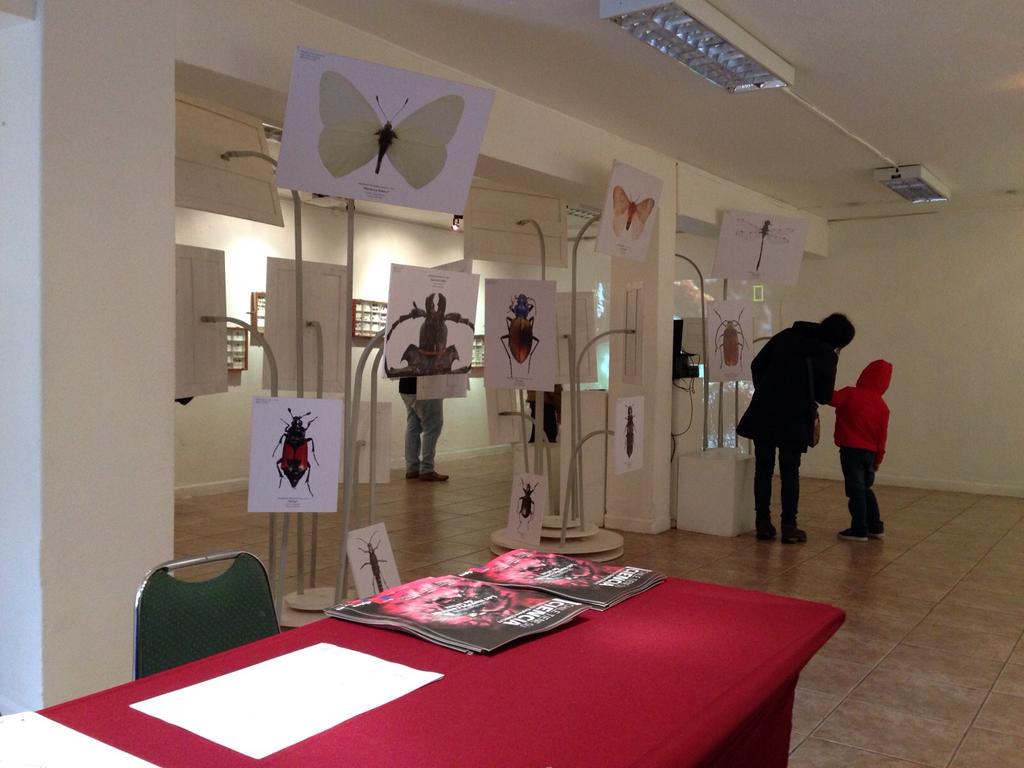 ProtectoresC's tweet photo. Expo #Diminutos estará abierta al público jueves, viernes y sábado, de 9 a 20 hrs Los esperamos en Extensión @UTalca http://t.co/fmqcOAH41g