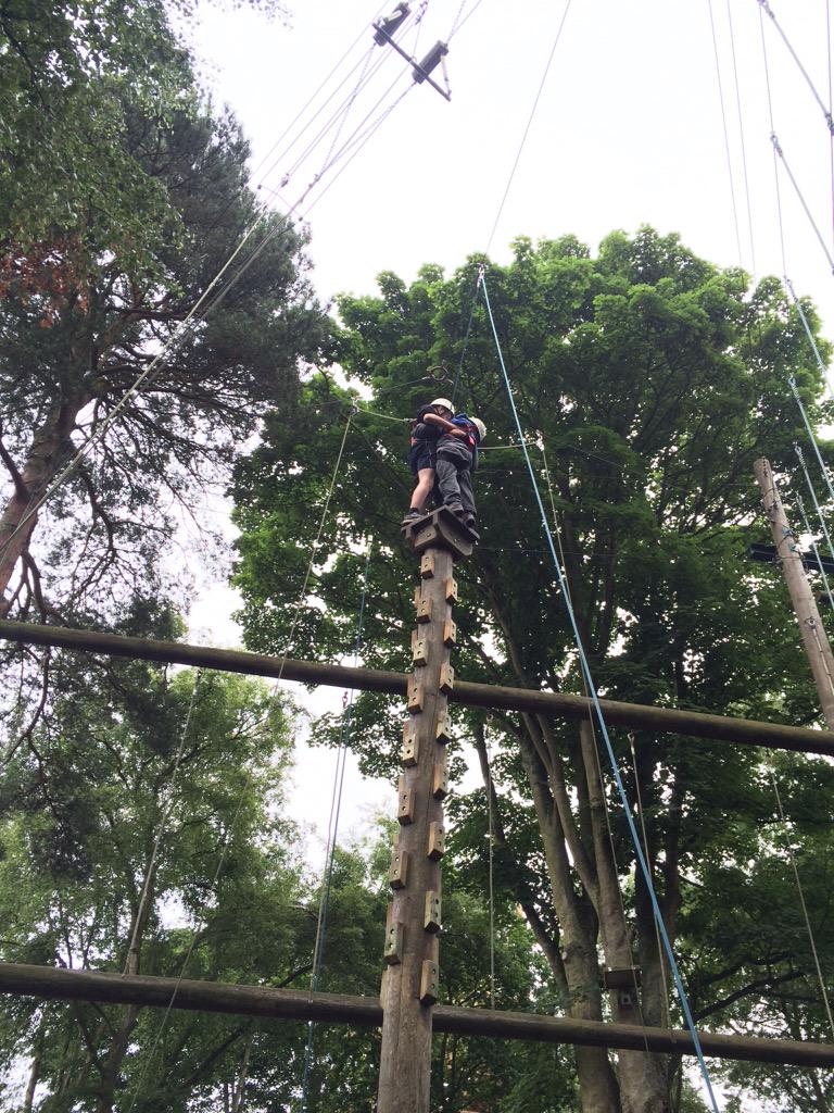 Karyn Wiles tweet media