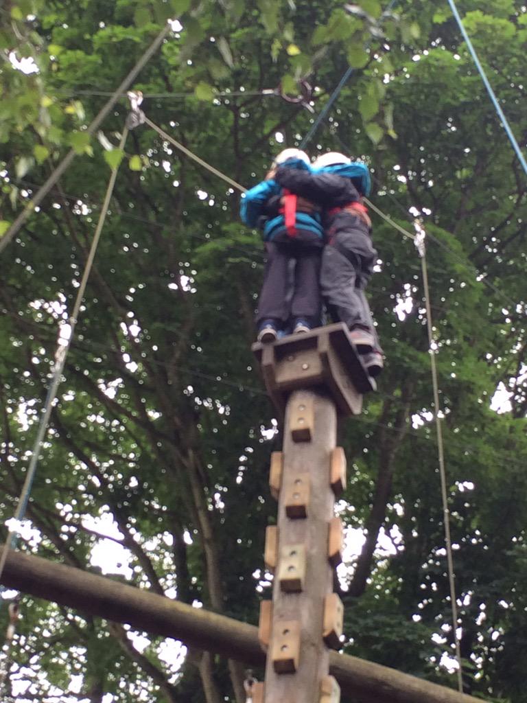 Karyn Wiles tweet media