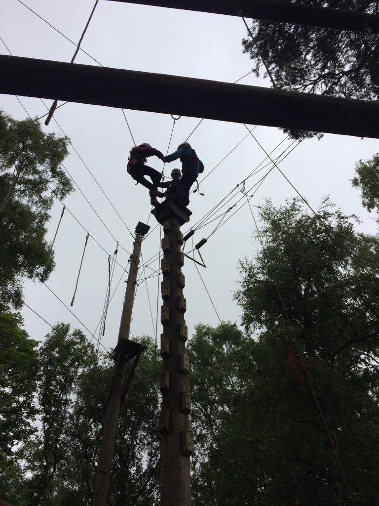 Karyn Wiles tweet media