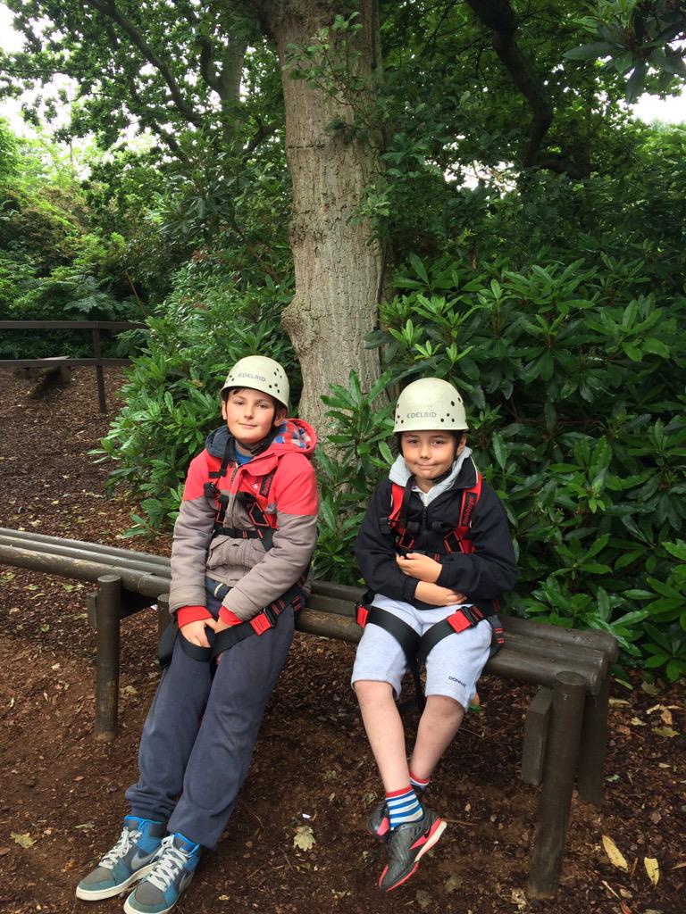 Karyn Wiles tweet media