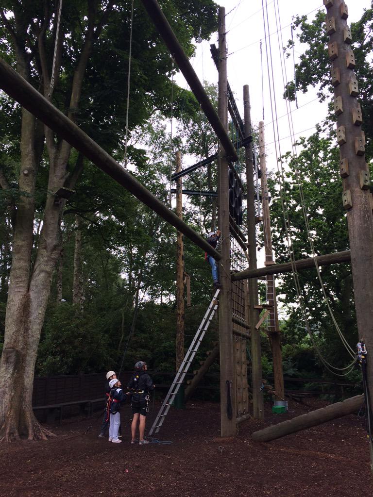 Karyn Wiles tweet media