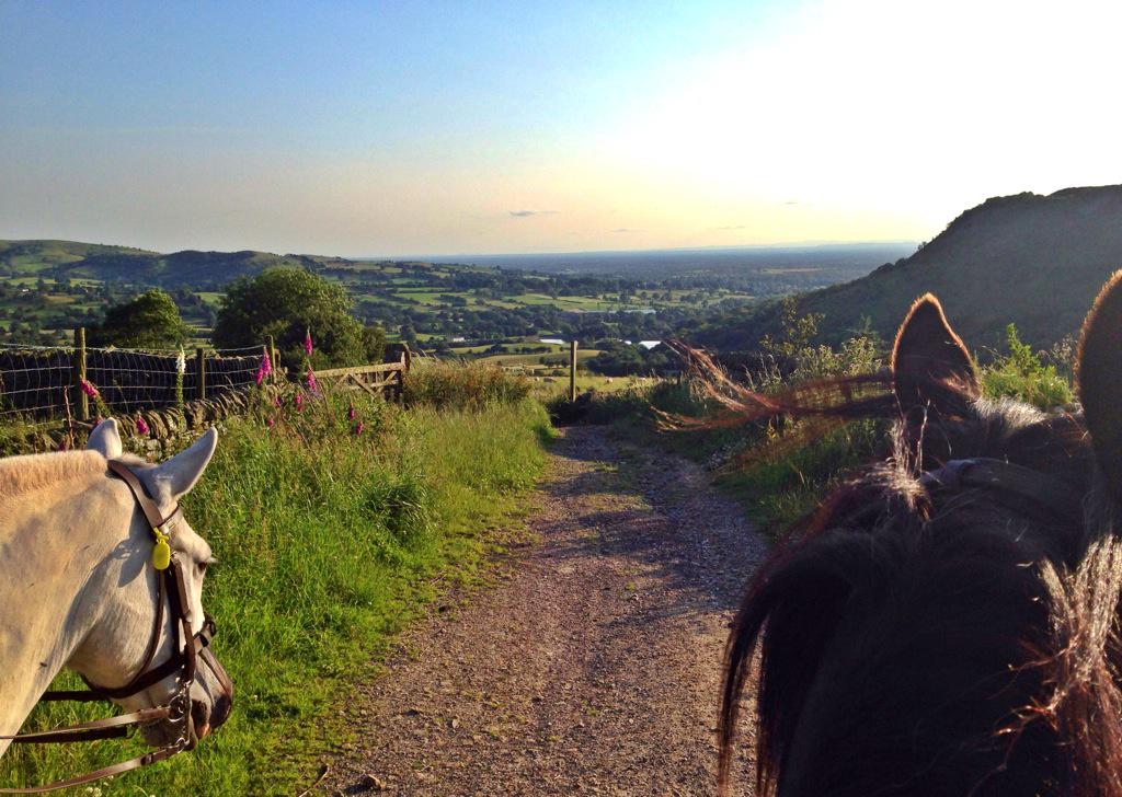 sarahforrest31's tweet image. What a way to unwind after work... I will never tire of this view #macclesfieldforest #teggsnose #summerhacking