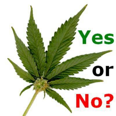 jah_loves's tweet photo. Should weed be legalised? http://t.co/DlRBkOMQ6M