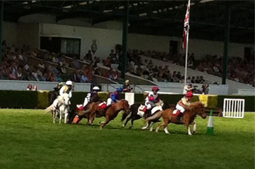 Had another winning day <a href="/greatyorkshow/">Great Yorkshire Show</a> with <a href="/Littlepjs/">Little PJS</a> and @Ginnydjewellery