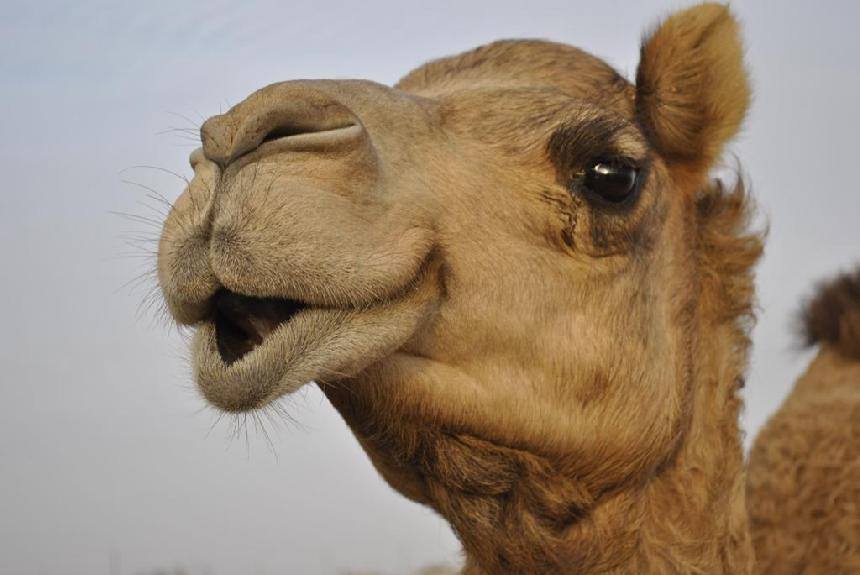 AldermanOaks's tweet photo. Hump Daaaay! We are excited to be going to Publix, having a watercolor class, cards, and a movie night! #AlwaysAParty http://t.co/Lu4Tr9b0rj