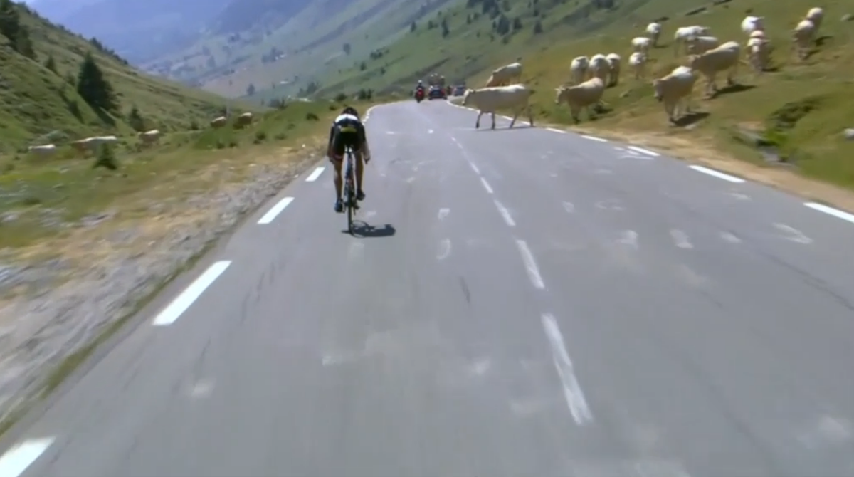Eurosport_ES's tweet photo. VÍDEO | Warren Barguil evita chocar con... ¡una vaca! Lo hemos visto en el #TDF2015 ► http://t.co/RbnkNbTtSt http://t.co/yaf8sNG4NH