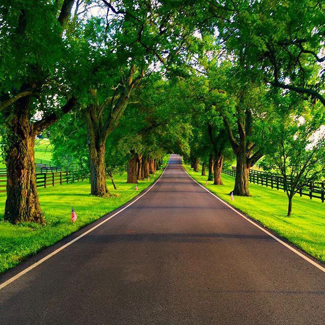 DriveKentucky's tweet photo. Take a back road &amp; discover the beauty that is hidden all across #Kentucky! 📷 by @ksohil1309 #DriveKentucky http://t.co/OHtFWplroj