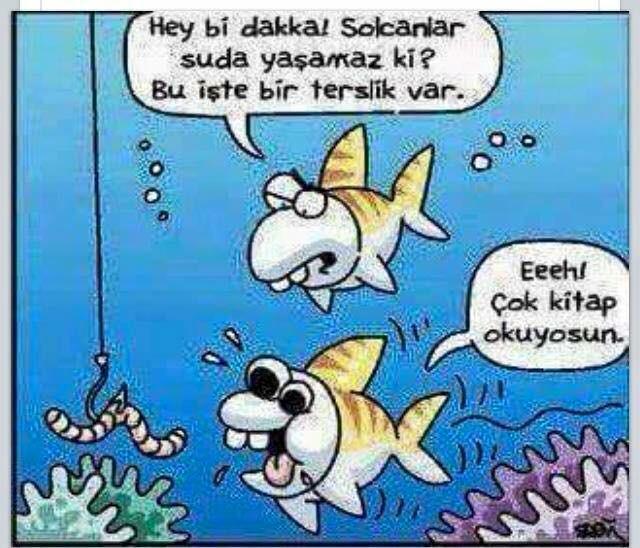 Çok gezen mi,çok okuyan mı? Ortayı bulalım.Çok gezerken çok okuyan.Ve... Mutlaka bilgi sahibi olduktan sonra düşünen.