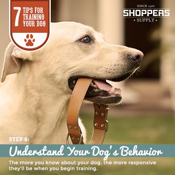 ShoppersSupply's tweet photo. Our 6th training tip is about knowing your dog's personality. This tip will make the training process much easier! http://t.co/qGImqytXtH