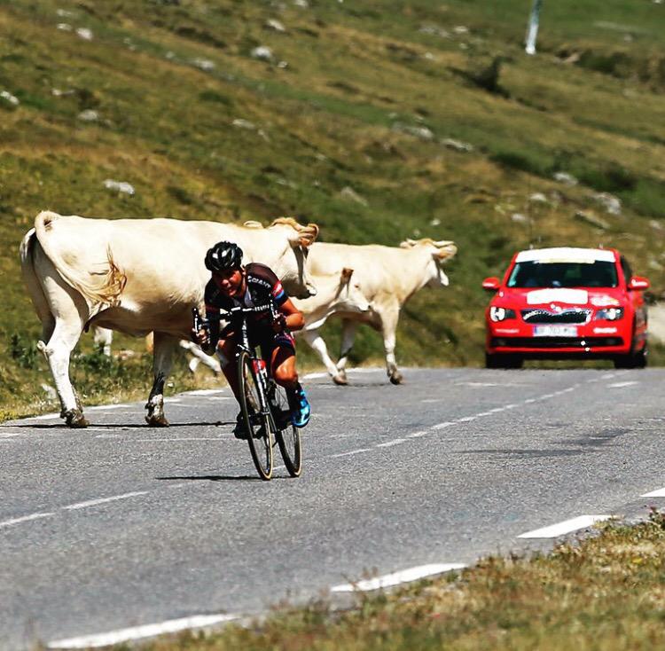 LE TOUR DE FRANCE 2015 - Página 15 CJ-Y6IdWUAAhLYK