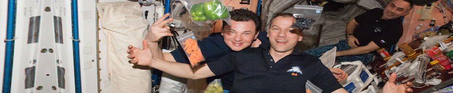 SapienzaRoma's tweet photo. #SapiExpo su 'Dal cibo per astronauti alle colture nello spazio'(ven 17 luglio,9.30)#spacefood http://t.co/G4fzIASBba http://t.co/WrzILkeOQi