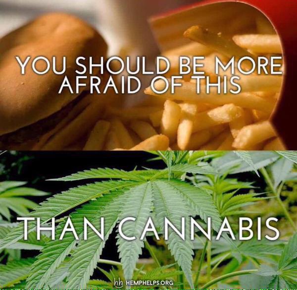 GeniusPothead's tweet photo. Facts: http://t.co/UA3JDLrpzz