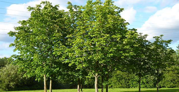 How Living in Nature Proves to Be Great for #Health
#tcot
#tlot
#Infowars
infowars.com/how-living-in-…
