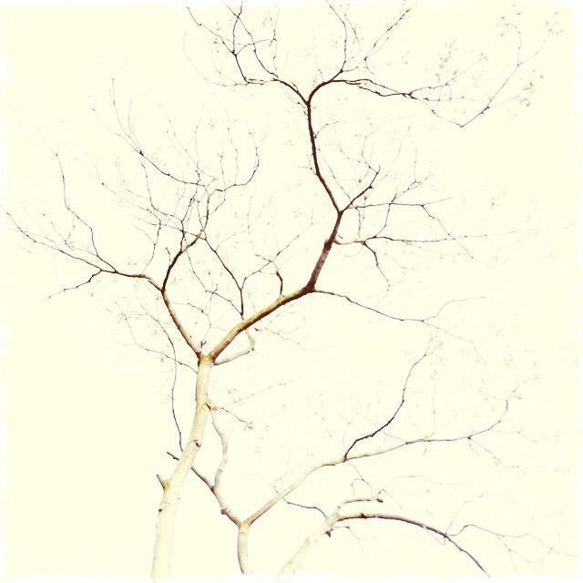 GabiGaffron's tweet photo. Staying visible, not fading, being heard, being seen, being there! #being #mindfulness http://t.co/zQZSa8B0ns