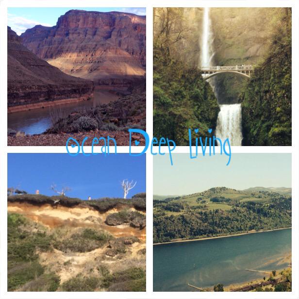 OceanDeepLLC's tweet image. 