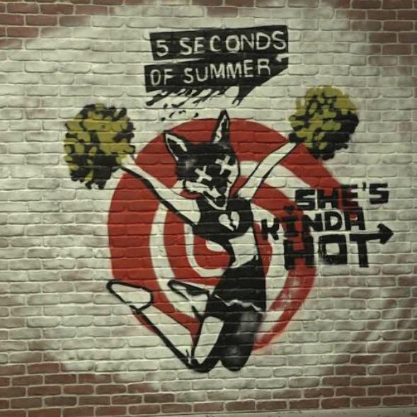 1DUpdates_5SOS's tweet photo. She's Kinda Hot out in 2 days! http://t.co/MyY9jRz04F