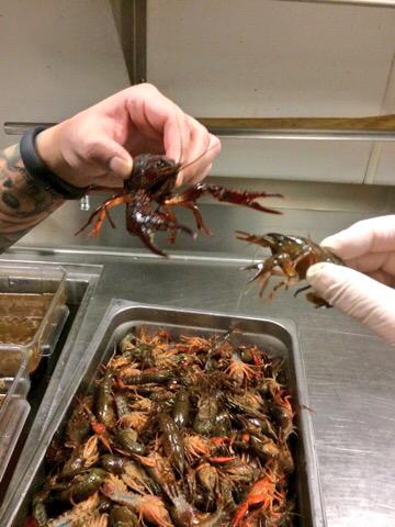 amanda2581's tweet image. throwing a #Crawfish party on the patio @rockitburgerbar SUNDAY &amp;amp; y'all are invited! @mike_sunda will be cookin'!