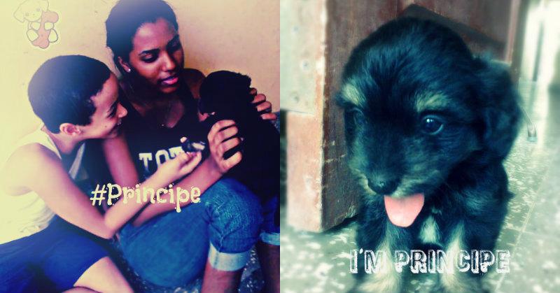 Elianna Rdgz ♥ tweet media