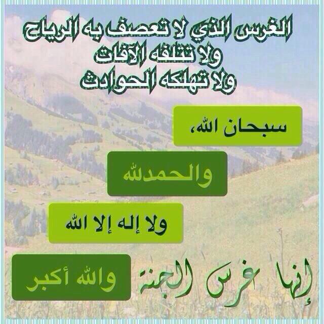 00sultan00's tweet photo. http://t.co/DxBiED08Qr