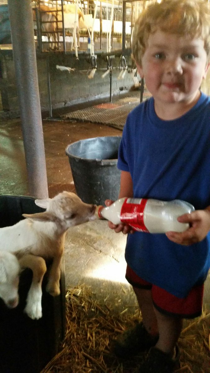 FunOnFarm's tweet photo. Help bottle feed one of our baby kid goats.# funonfarm
Schedule a tour today. http://t.co/L4nWLbRzDF