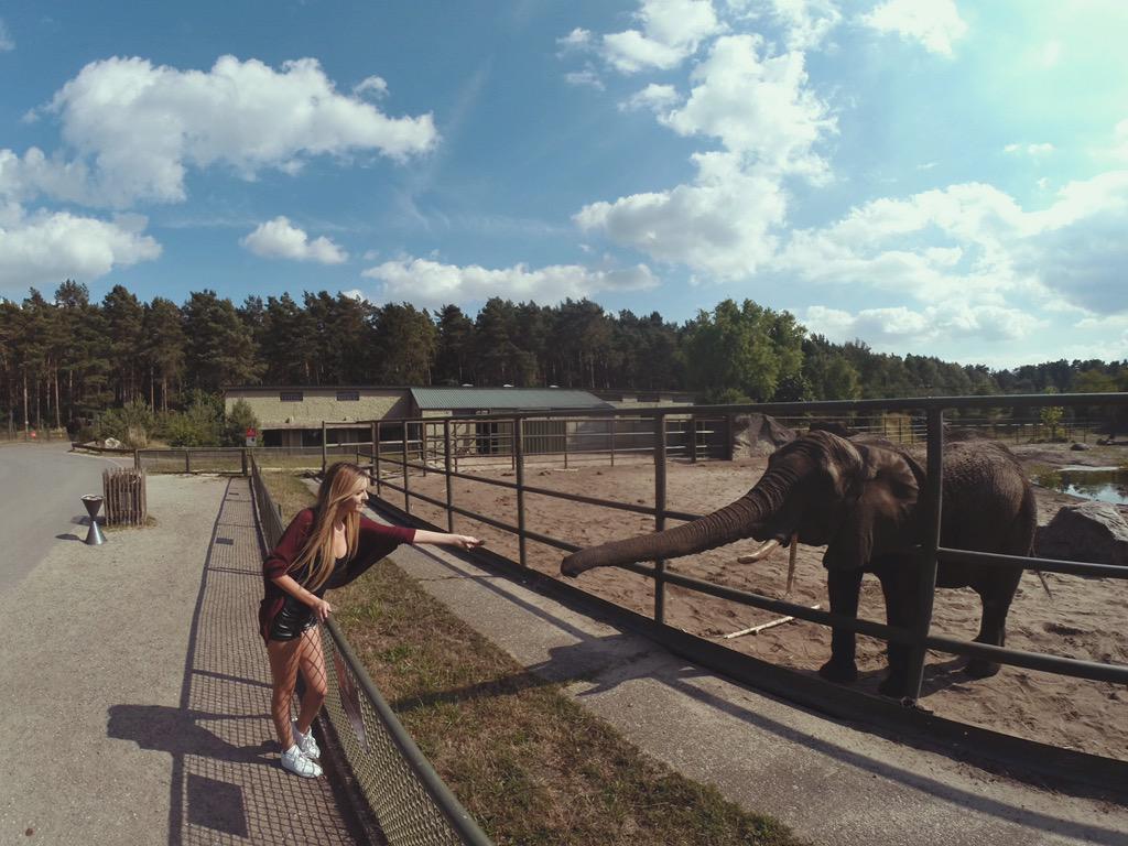 Shelby O'Connor tweet media