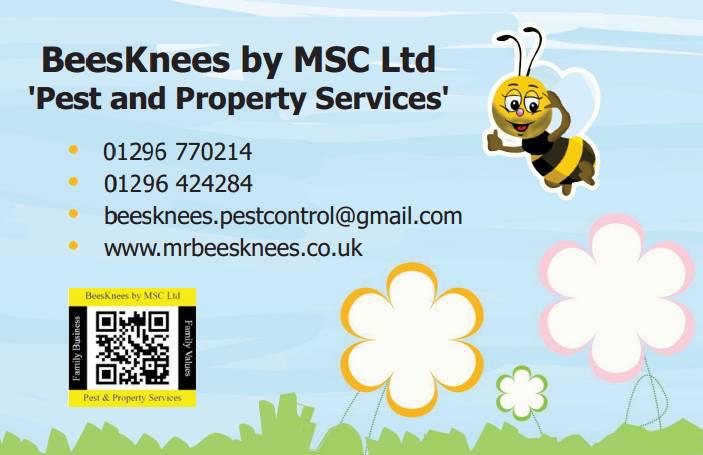 mrbumble1's tweet photo. Wasps £40 guaranteed http://t.co/hUxRIEh4r4